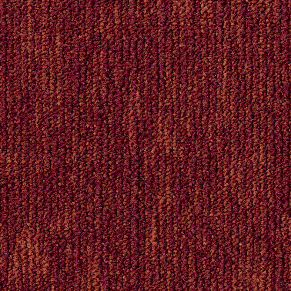 Grain B867  4211