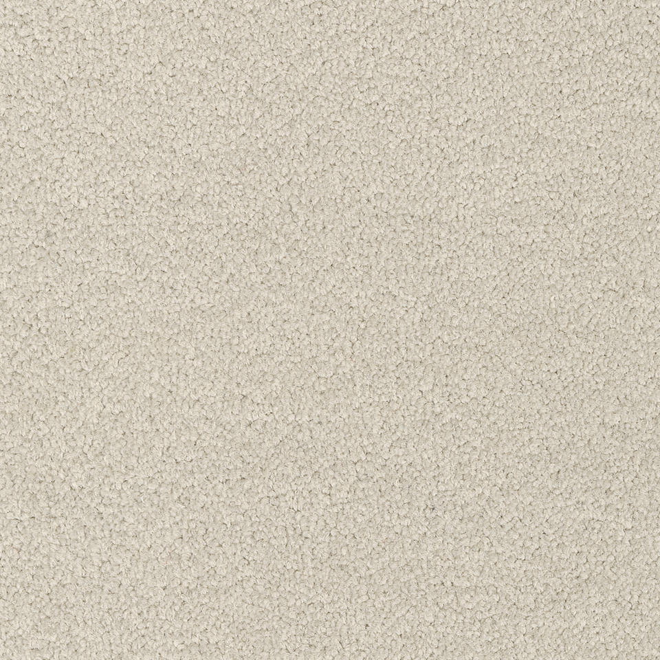 LRV Palatino Ecobase B359  9098