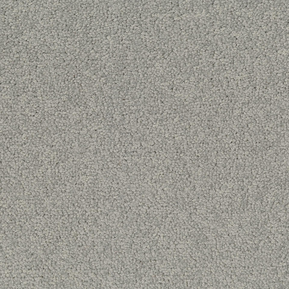 Palatino A072  1318