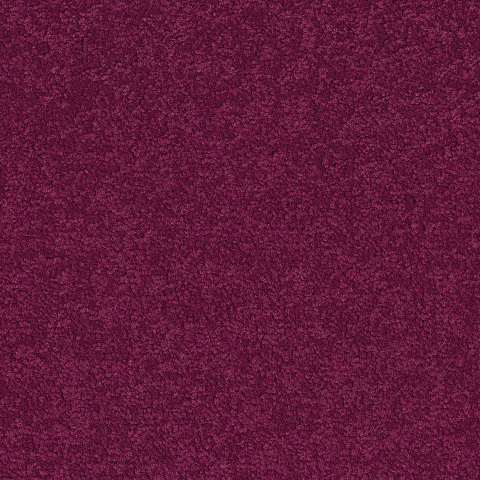 Palatino A072  4020