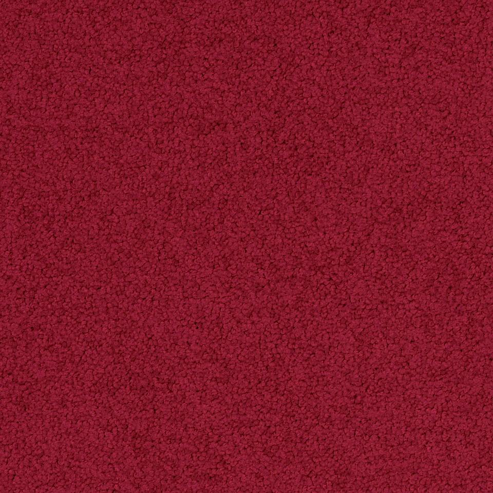 Palatino A072  4218