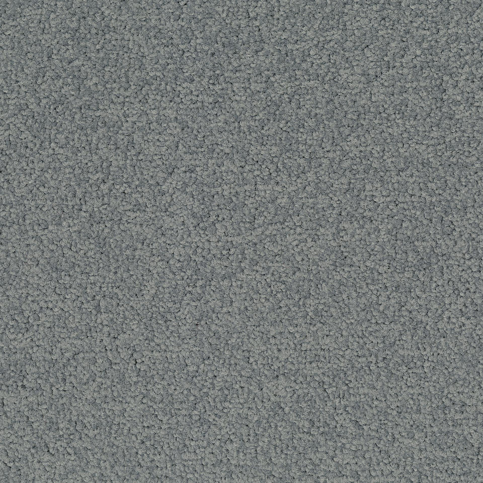 Palatino A072  5502