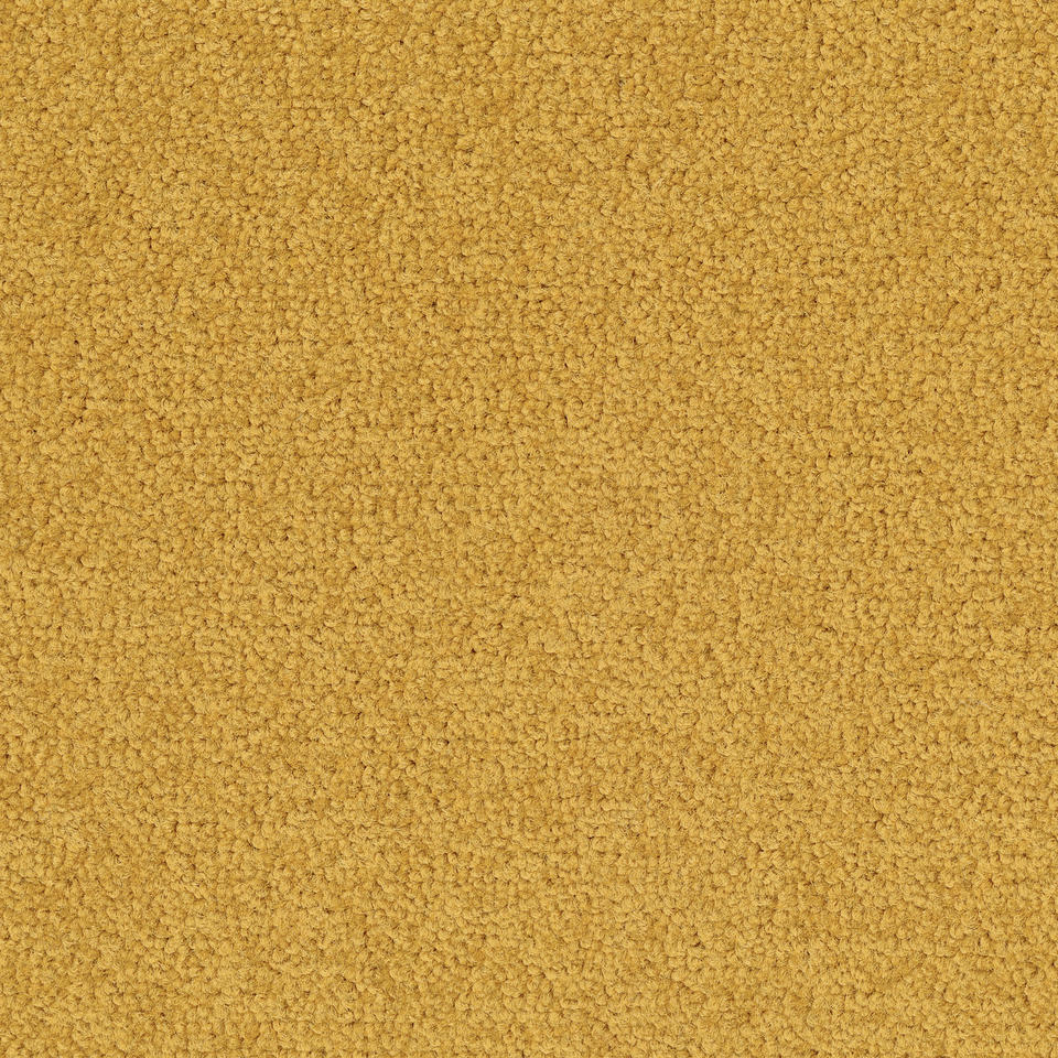 Palatino A072  6016