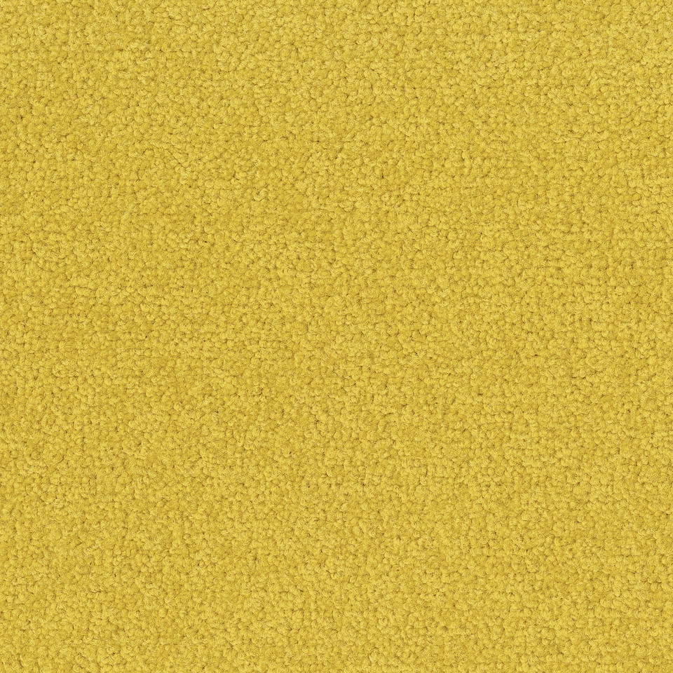 Palatino A072  6208