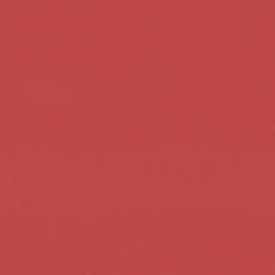 Melt CORAL