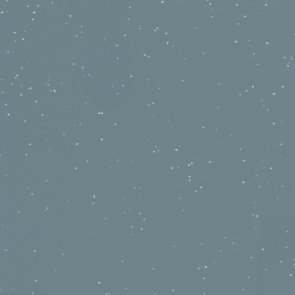 Snow PETROL