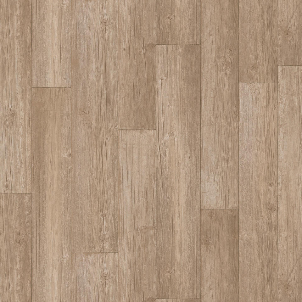 Canadian Pine WARM BEIGE