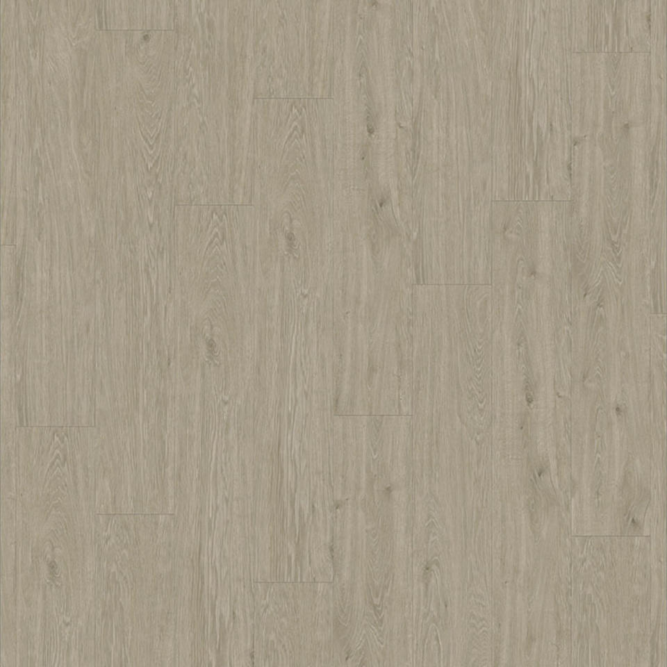 Lime Oak GREY