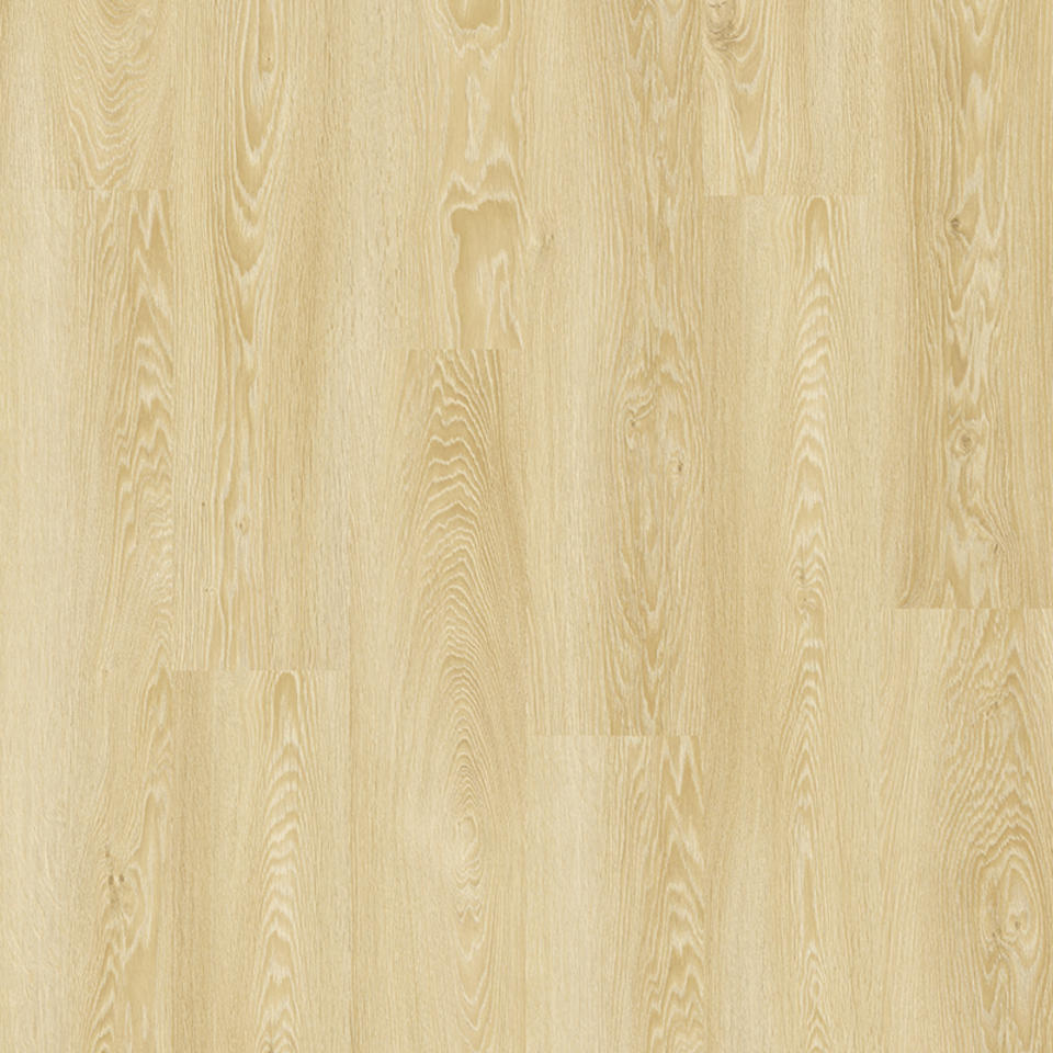 Modern Oak CLASSICAL