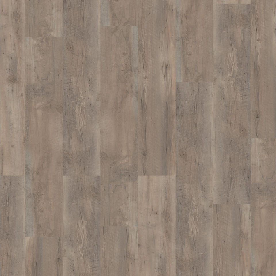 Primary Pine GREGE