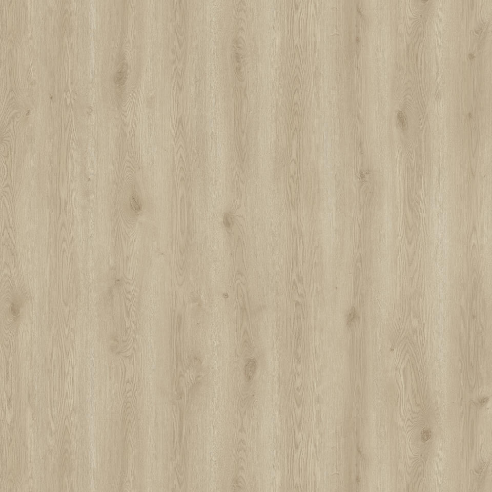 Contemporary Oak DUNE