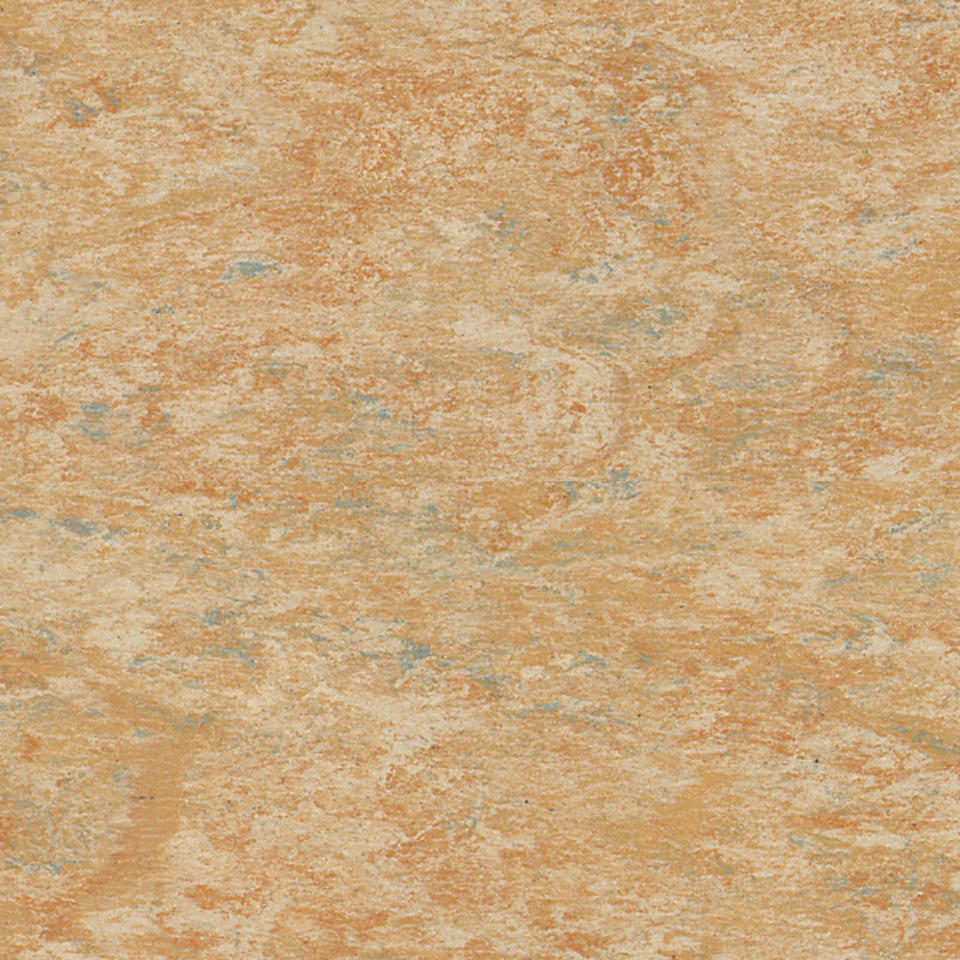 Veneto CAMEL 616