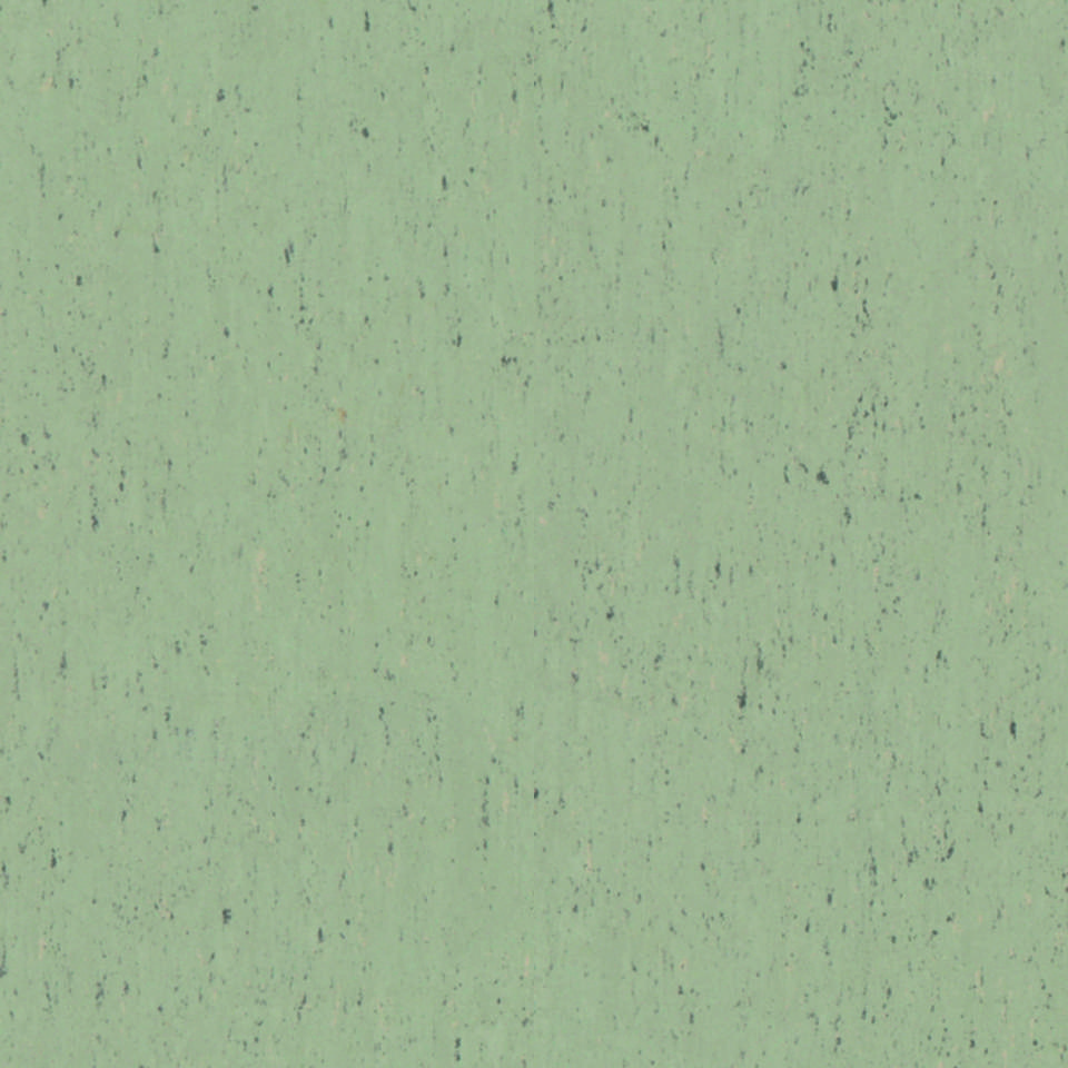 Trentino SALT 501