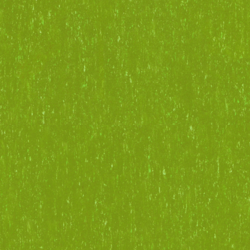 Trentino LIME 551