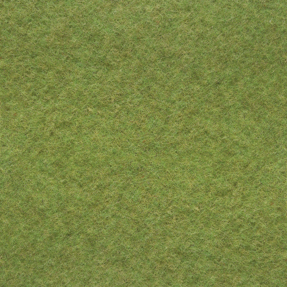 GREEN 005