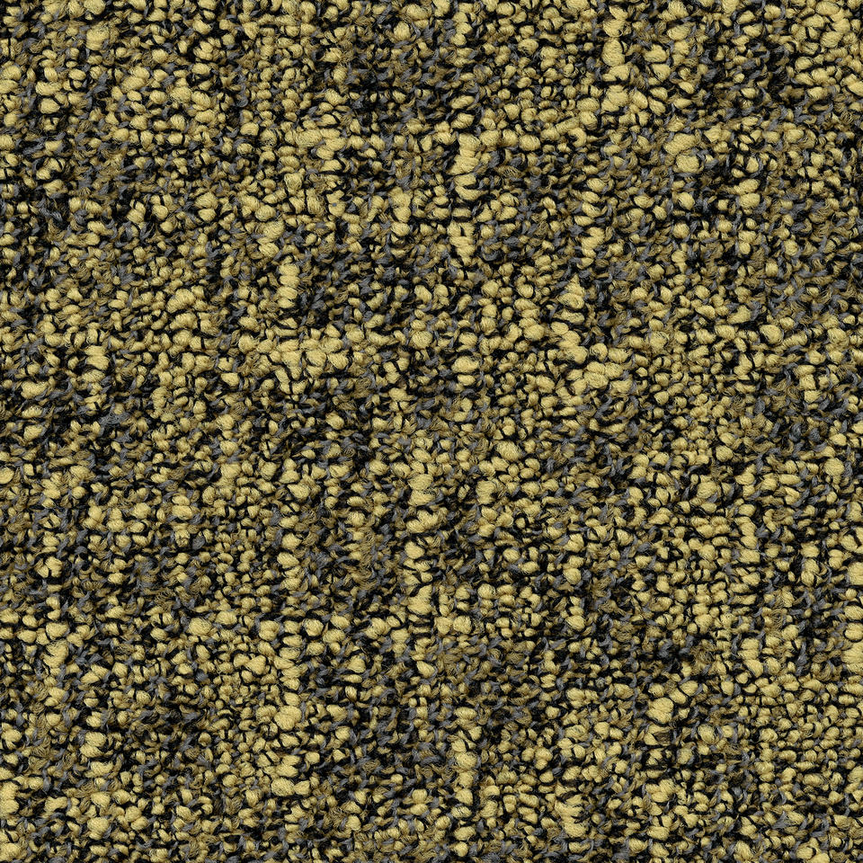 Tweed B529  6218