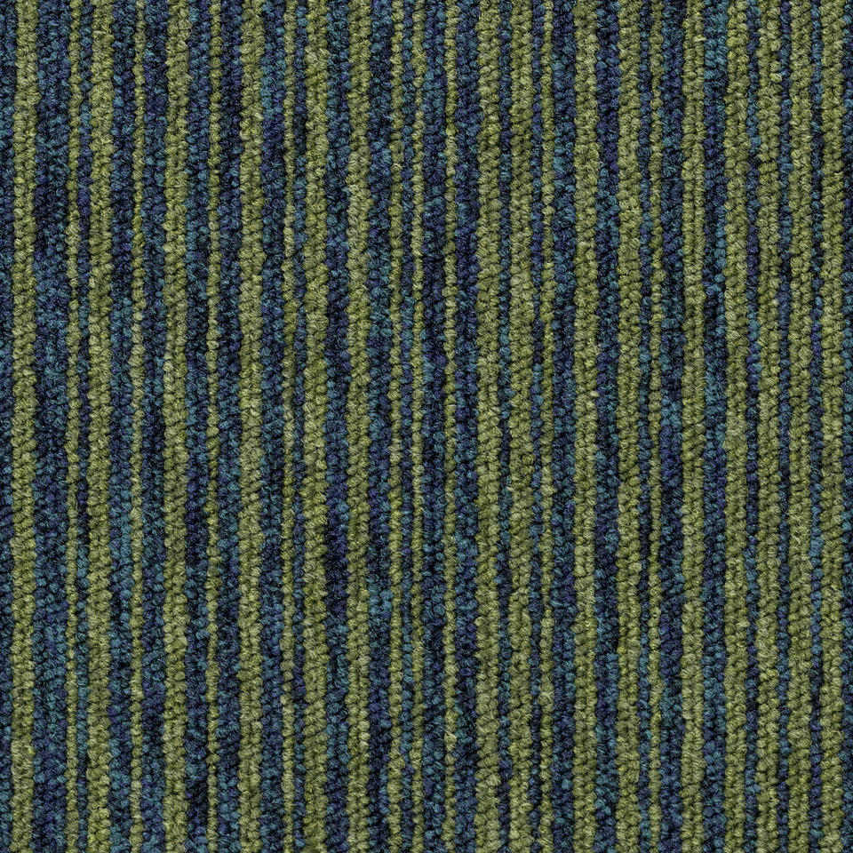 Essence Stripe B173  8173