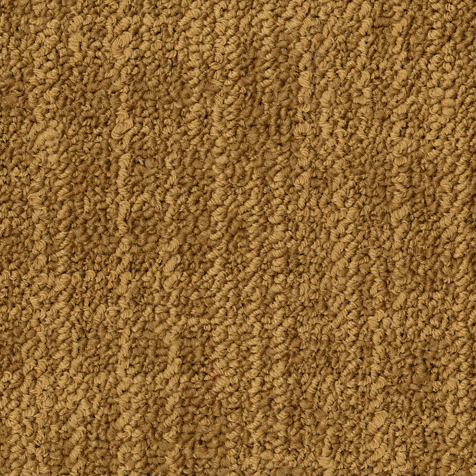 Frisk B574  2055