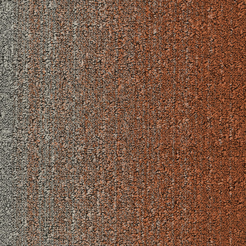 Fuse B755  5102